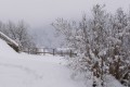 GRUYERES (SUISSE)